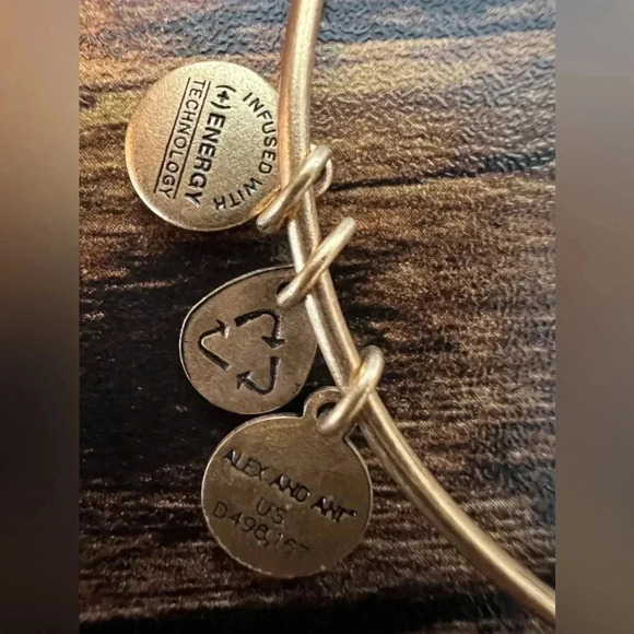 Alex and Ani | Friend, Expandable Rafaelian Bangle Bracelet. - Picture 7 of 8